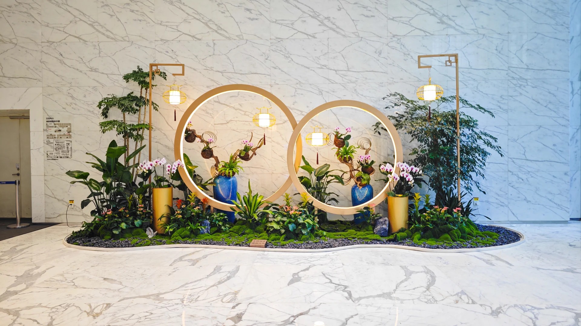 专业绿植出租在前湾,装点您的每一寸空间